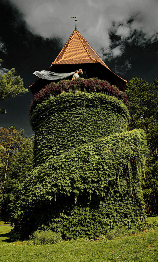 art-bride-groom-photo-wedding